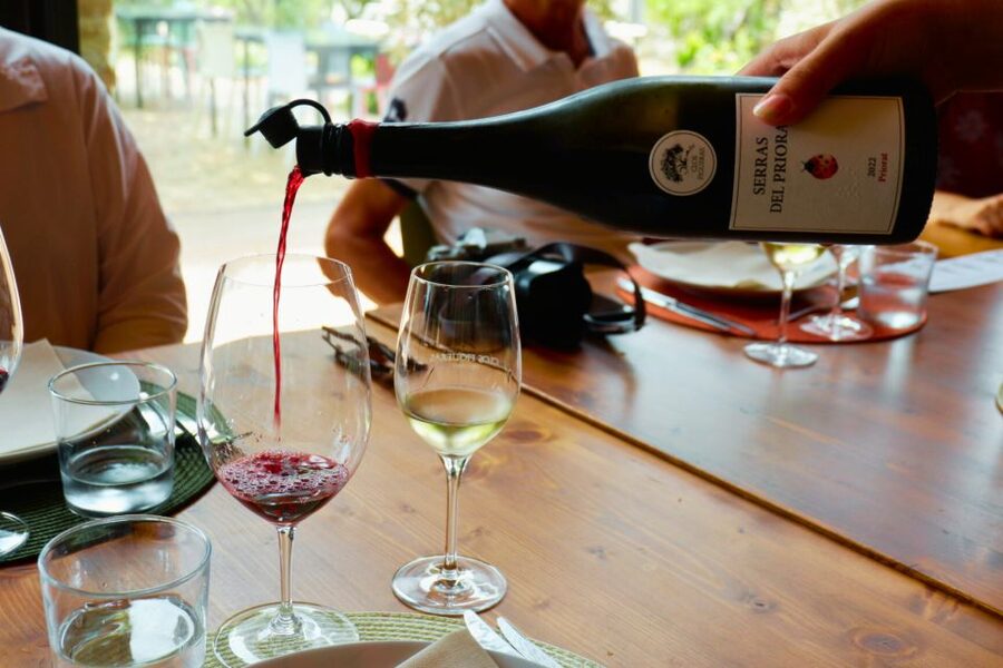 From Barcelona: Priorat's Exclusive Cellars, Wines & Nature - The two-hour journey from Barcelona
