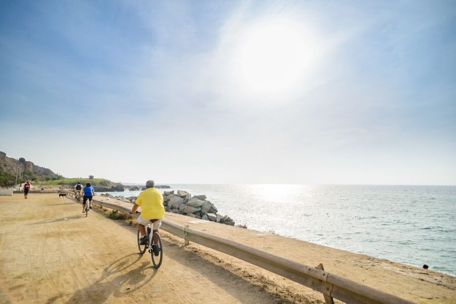 From Barcelona: Private Alella Wine Tour by Electric Bike - Key points to know before booking