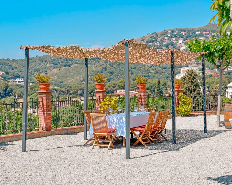 From Barcelona: Private Alella Wine Tour by Electric Bike - From Gothic Quarter streets to the Maresme coast