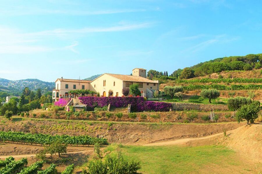 From Barcelona: Private Alella Wine Tour by Electric Bike - Alella offers a quieter wine break outside Barcelona
