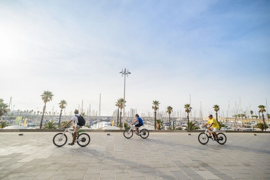 From Barcelona: Private Alella Wine Tour by Electric Bike - Four wines and a picnic among the vines