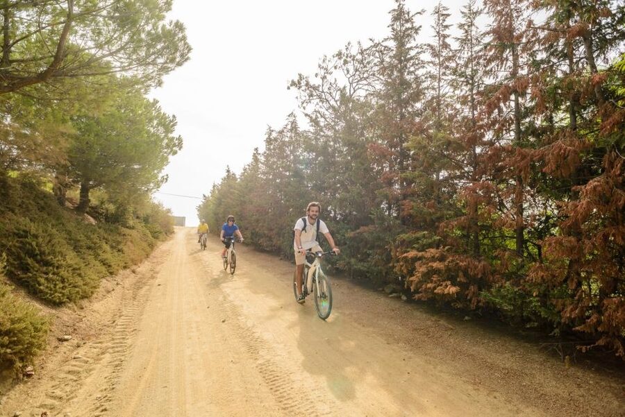 From Barcelona: Private Alella Wine Tour by Electric Bike - Is $294 per person good value?