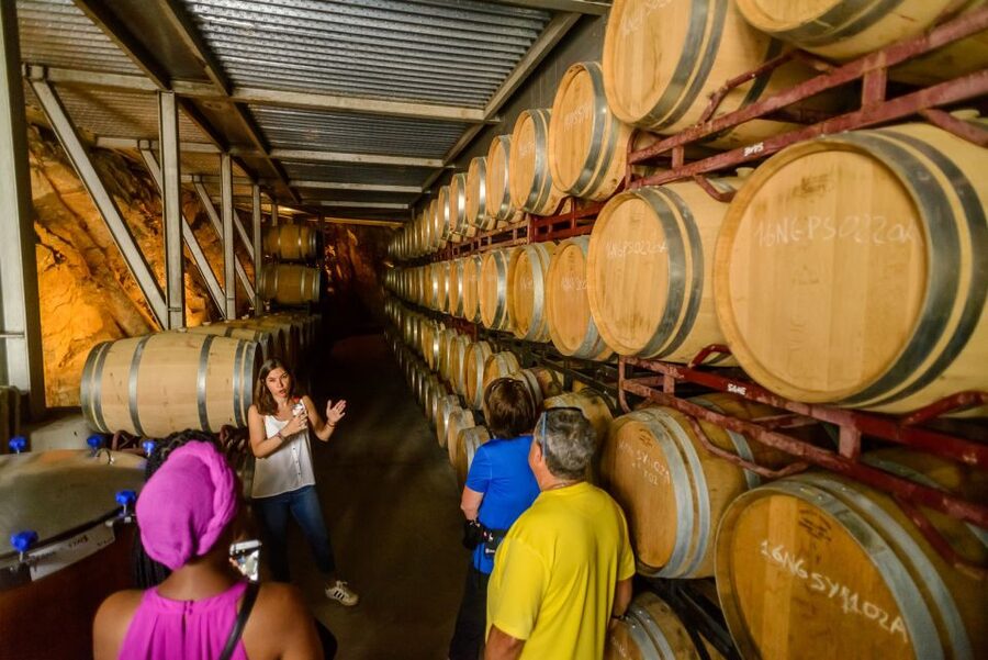 From Barcelona: Private Alella Wine Tour by Electric Bike - Should you book it?