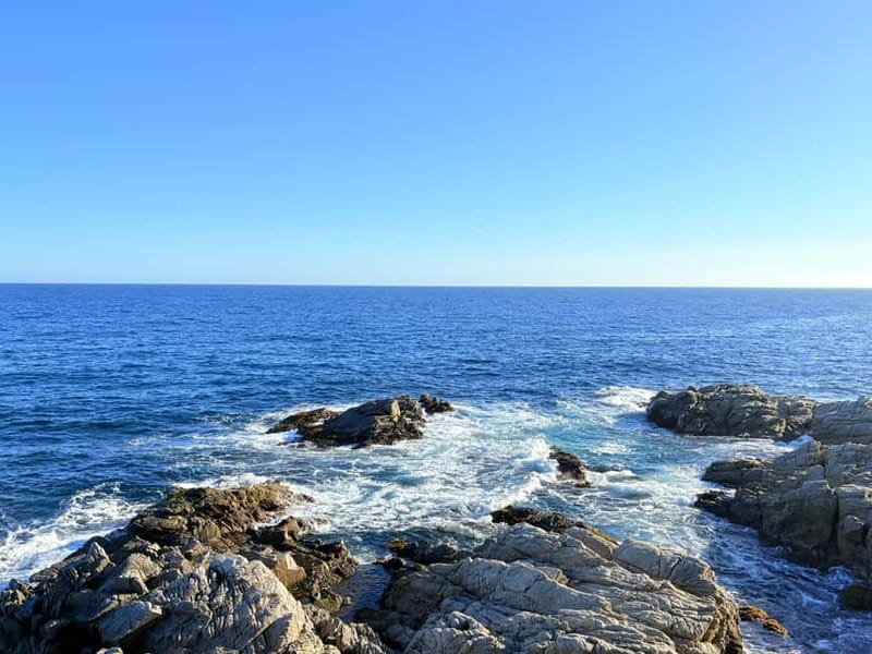 From Barcelona: Private Costa Brava Guided Tour - What to expect around Lloret’s beach and castle