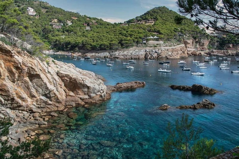 From Barcelona: Private Costa Brava Guided Tour - What $680 means for value