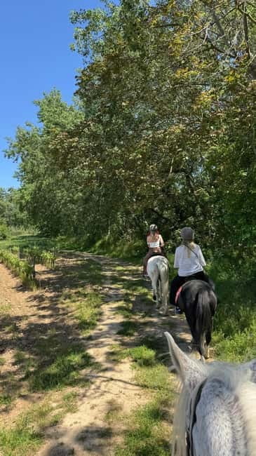 From Barcelona: PRIVATE Horseback Ride + Tapas + Wine Picnic - Riding Through Vineyards and Rolling Hills