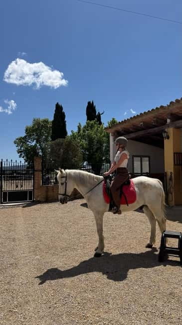 From Barcelona: PRIVATE Horseback Ride + Tapas + Wine Picnic - Languages, Guides, and Communication