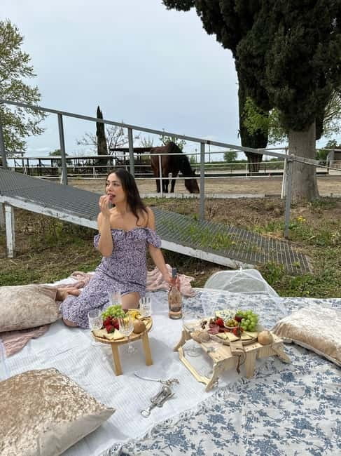 From Barcelona: PRIVATE Horseback Ride + Tapas + Wine Picnic - Timing and What to Confirm