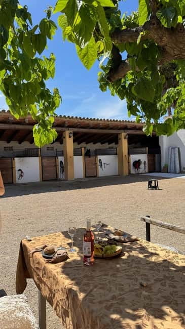 From Barcelona: PRIVATE Horseback Ride + Tapas + Wine Picnic - Who Will Enjoy This Experience Most