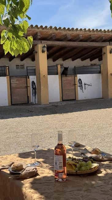 From Barcelona: PRIVATE Horseback Ride + Tapas + Wine Picnic - Leaving Barcelona in a Private Car