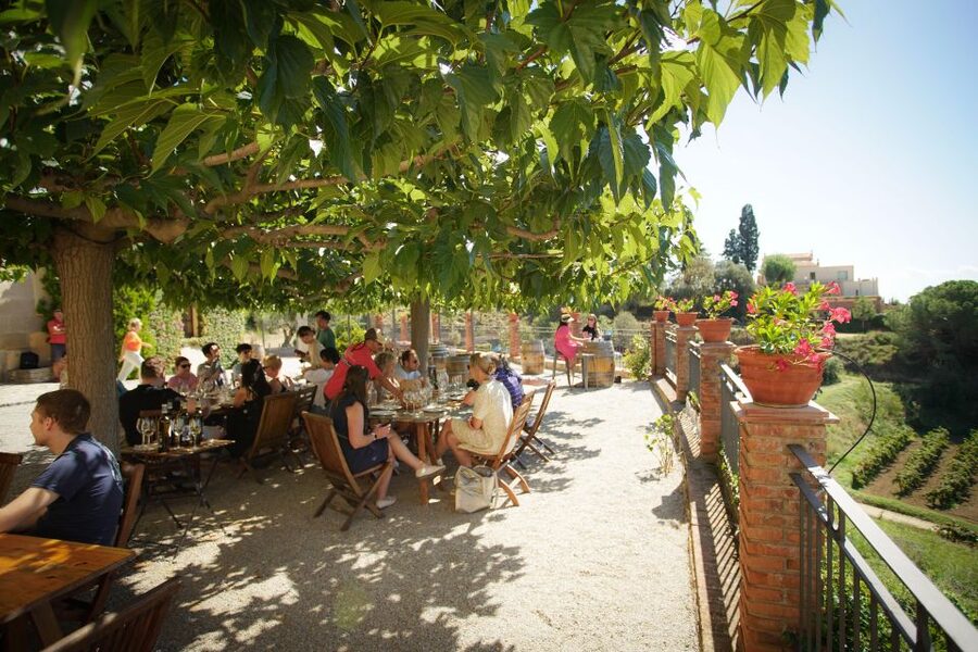 From Barcelona: Sailing and Wine Tasting Experience - Three wines, Catalan food, and a slower table