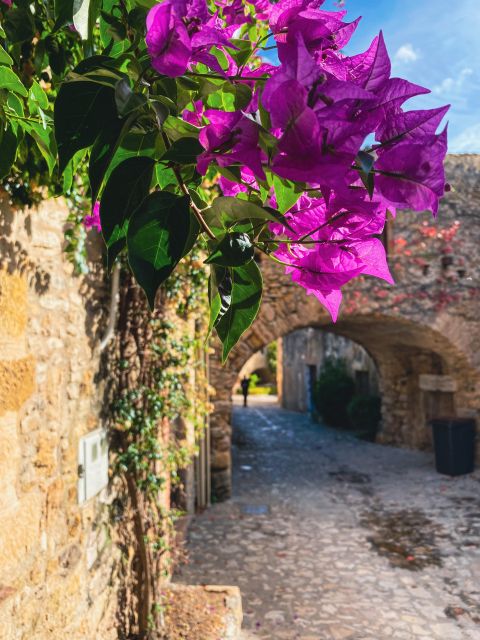 From Barcelona: Small-Group Tour Costa Brava & Dali Museum - What the $88 price includes