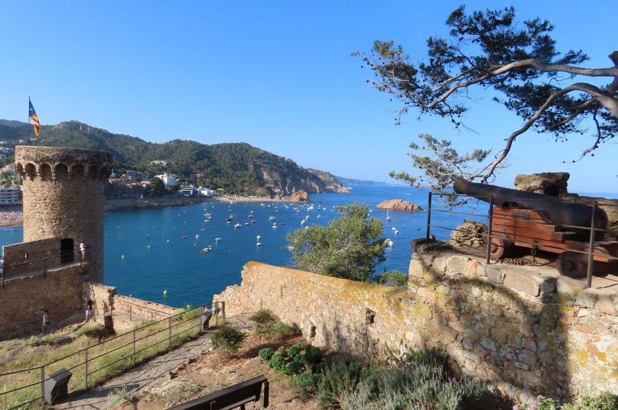 From Barcelona: Tossa de Mar Scuba Diving and 3-Course Meal - The guide and the small-group advantage