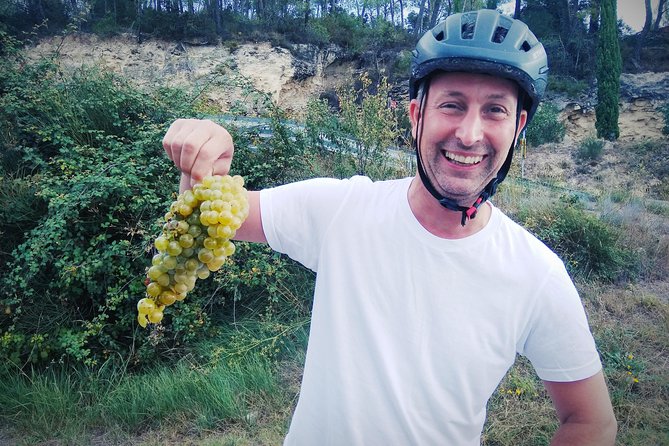 From Sitges: Bike Tour and Winery Visit with Free Hotel Pick Up. - What the vineyard stops add