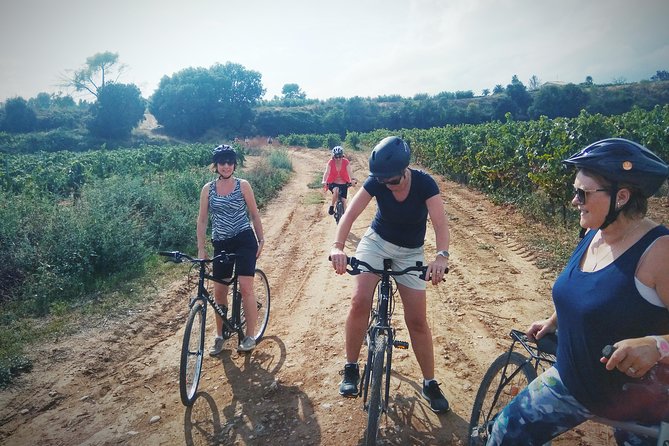 From Sitges: Bike Tour and Winery Visit with Free Hotel Pick Up. - How good is the value at $111.26?