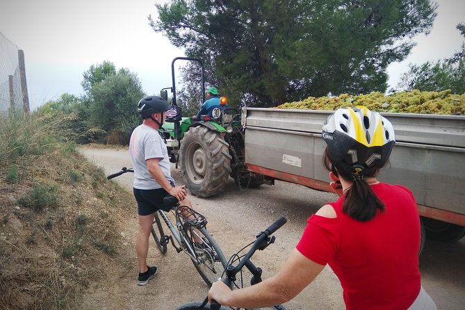 From Sitges: Bike Tour and Winery Visit with Free Hotel Pick Up. - Who will enjoy this bike and cava outing?