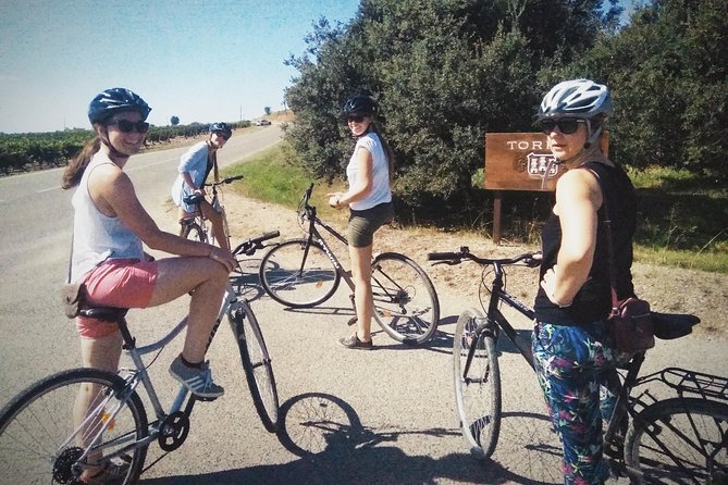 From Sitges: Bike Tour and Winery Visit with Free Hotel Pick Up. - Practical details to settle before booking