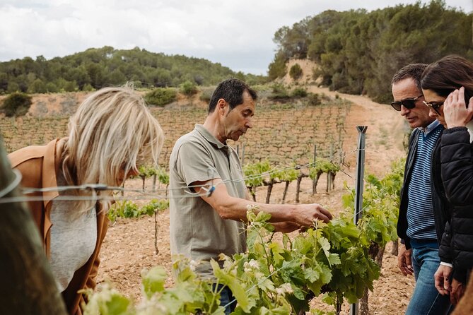 Full-Day Trip Barcelona to Montserrat Monastery & Cava Winery - What the seven-hour schedule feels like