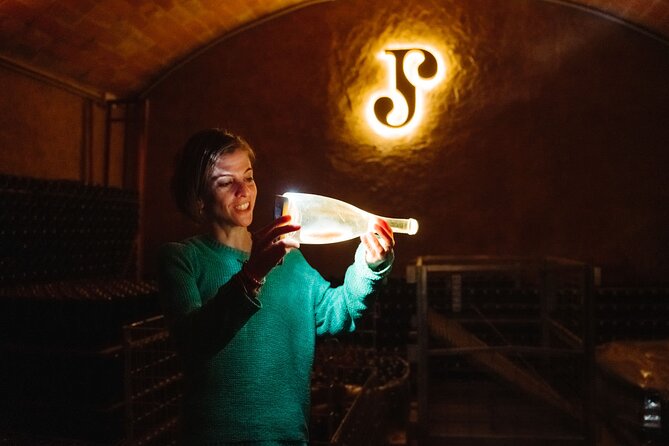 Full-Day Trip Barcelona to Montserrat Monastery & Cava Winery - How this compares with going independently