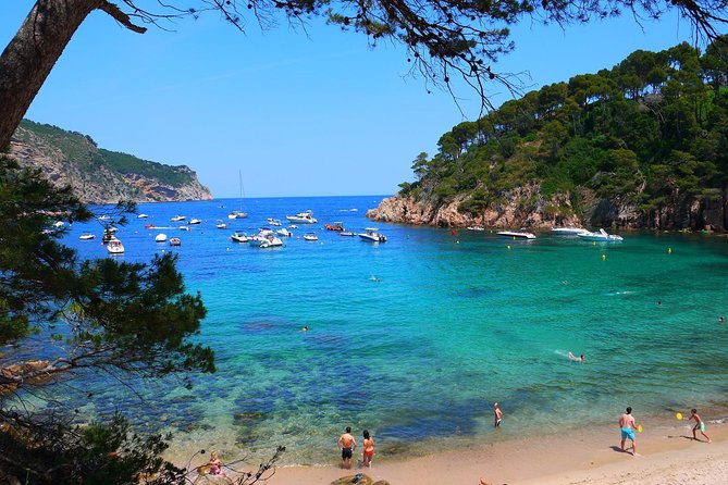 Girona & Costa Brava Small-Group Tour with Pickup from Barcelona - At a Glance: What Makes This Day Trip Work