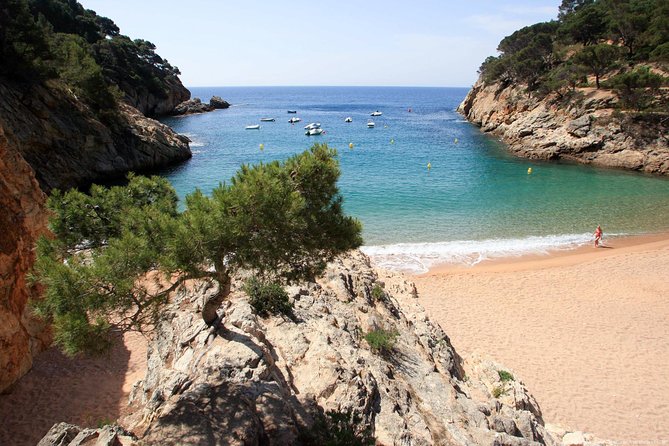 Girona & Costa Brava Small-Group Tour with Pickup from Barcelona - Is $120.29 a Fair Price?