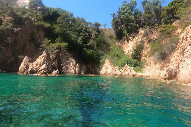 Guided Kayak & Snorkel tour to Costa Brava: Small Group and Lunch - Who will enjoy this Costa Brava day