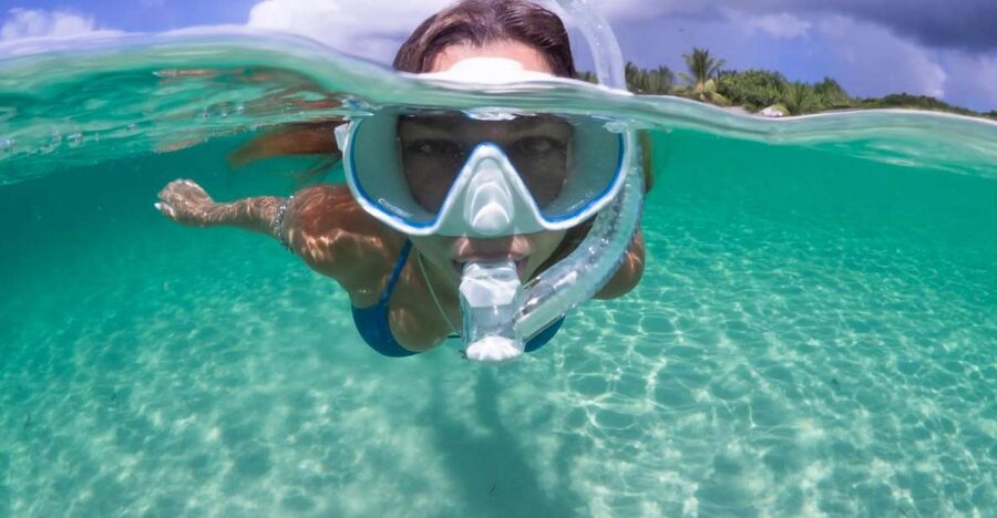 Guided Snorkel in Barcelona Beach - Starting at Platja de Llevant
