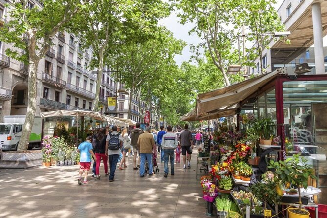 Half Day Barcelona Private Walking Tour - Key points to know before booking