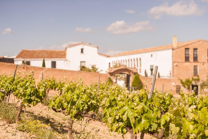 High-End Vineyard Escape: Cava, Tapas & Wine | Private Tour - Should you book it?