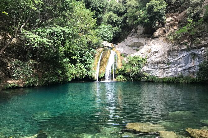 Hike to Secret Waterfalls of the Pyrenees Mountains, From Barcelona & Girona - Why Alta Garrotxa feels different