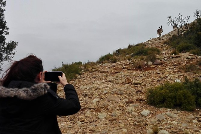 Historical Montserrat Half-Day Hiking Tour from Barcelona - Who should book this half-day hike