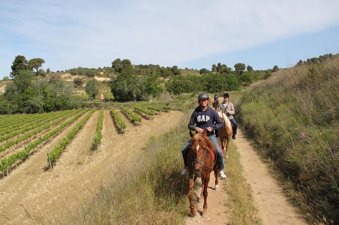 Horseback Ride, Penedes, Wine Tasting & Tapas Private Tour - From Barcelona to the vineyards of Penedès