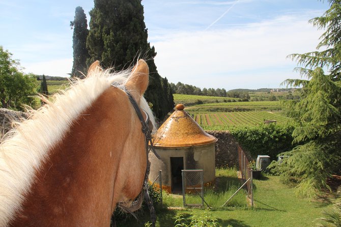Horseback Ride, Penedes, Wine Tasting & Tapas Private Tour - The guides and the tone of the day