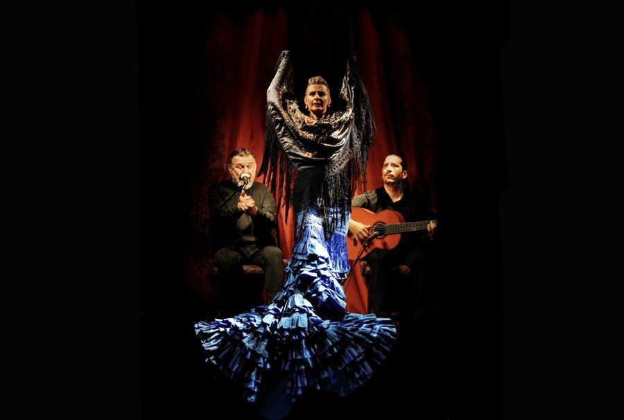 Intimate Authentic Flamenco Show in Barcelona at Casa Sors - The one-hour performance: guitar, voice, and footwork