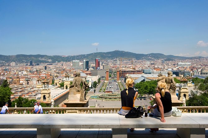 MNAC Barcelona: National Art Museum of Catalonia Admission Ticket - A self-guided visit, not a guided tour