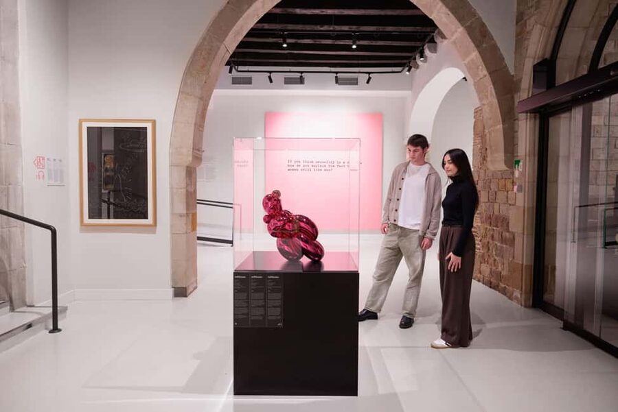 Moco Museum Barcelona Banksy & More - Access, booking, and practical restrictions