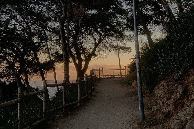 Montjuïc Magic: Hidden Pathways, Vermut Delights & Sunset Bliss - Climbing to Mirador del l’Alcalde