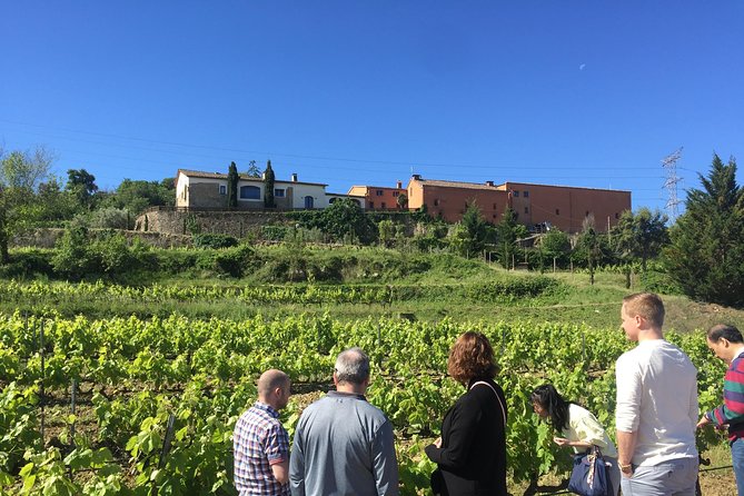 Montserrat & best winery private tour experience with a local expertise - Why this pairing works so well from Barcelona