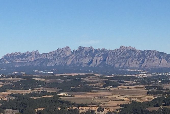 Montserrat & best winery private tour experience with a local expertise - Transport, timing, and group size