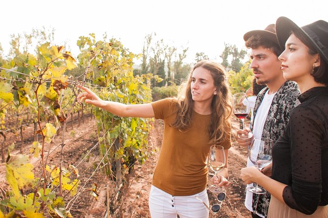 Montserrat & Cogwheel Train, Gourmet Wine Tasting & Tapas/Lunch - How good is the wine tasting?
