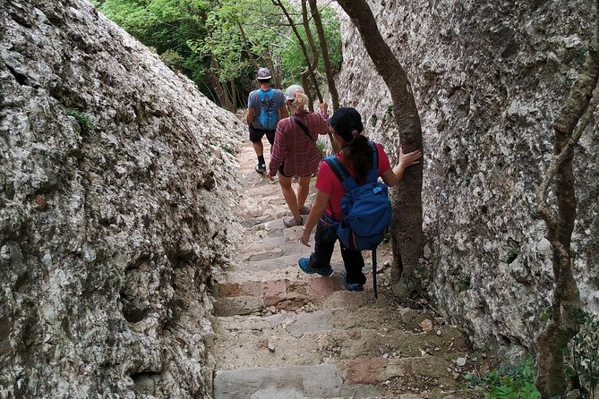 Montserrat Hiking Experience & Monastery Premium Small Group Tour - Price, value, and what you need to bring
