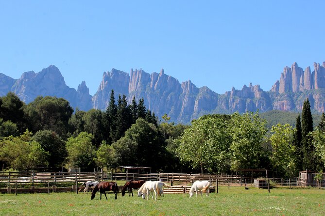 Montserrat Horseback Riding & Monastery – Small Group (Max 8) - The 8:00 a.m. start on Passeig de Gràcia