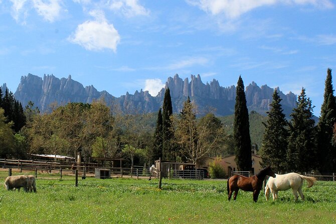 Montserrat Horseback Riding & Monastery – Small Group (Max 8) - Riding gentle horses at a hillside ranch