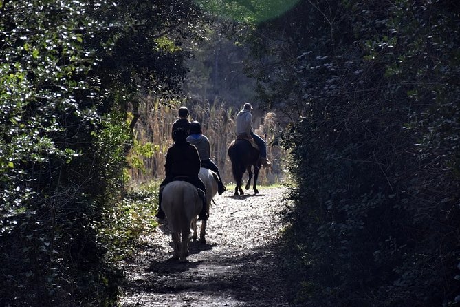 Montserrat Horseback Riding & Monastery – Small Group (Max 8) - Returning to Barcelona with time left in your day