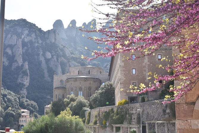 Montserrat Mountain Hiking Tour to Sant Jeroni, Small Group - Who will enjoy this hike most