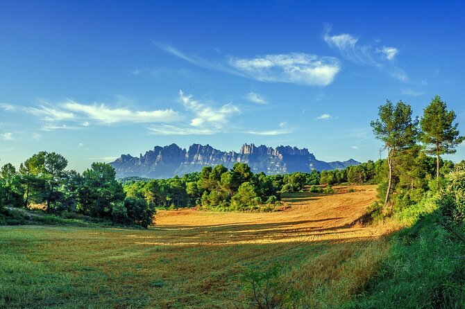 Montserrat Private Tour with Hotel pick-up from Barcelona - What the guides add to the experience