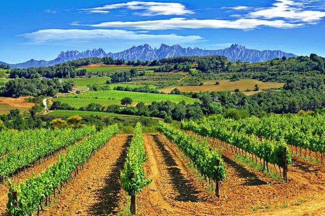 Montserrat,Vineyard, Wine Tasting Small Group Tour & Hotel Pickup - The cava tasting is an extra cost
