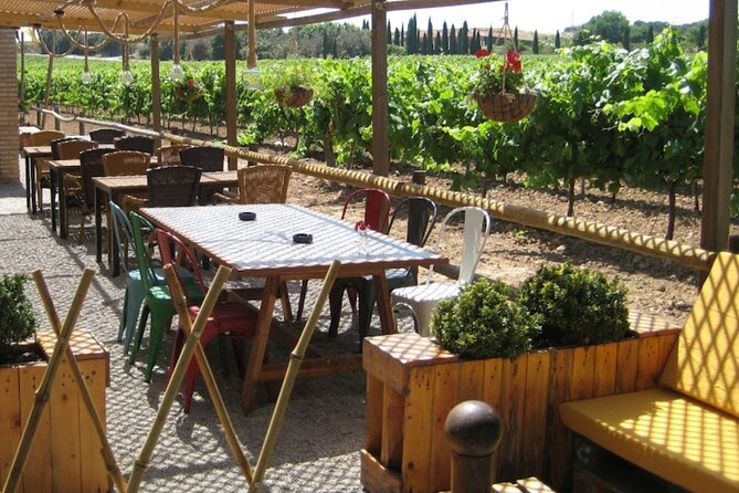 Montserrat & Winery Visit Tour with Traditional Farmhouse Lunch - Three hours at Montserrat, used wisely