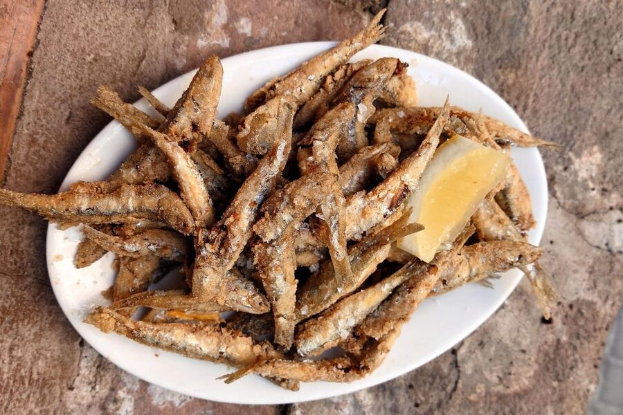 No Diet Club - Unique local food in Barcelona - The guide makes or breaks the experience