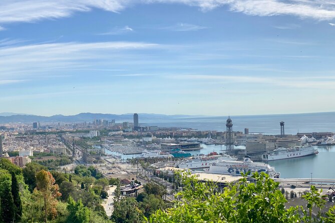 Online Experience: Zoom around panoramic Barcelona - Mercat de Sants opens with everyday Barcelona